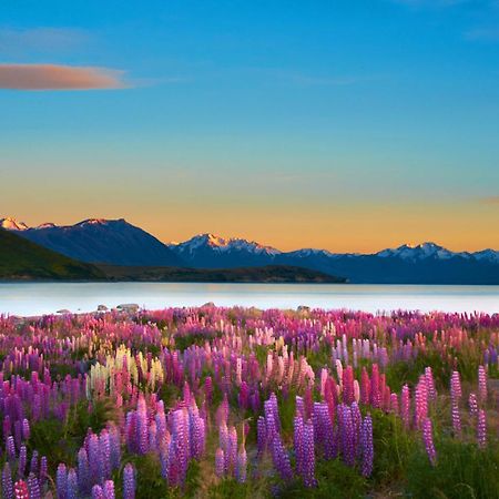 Lake Views At Antler Lodge Lake Tekapo Exteriér fotografie