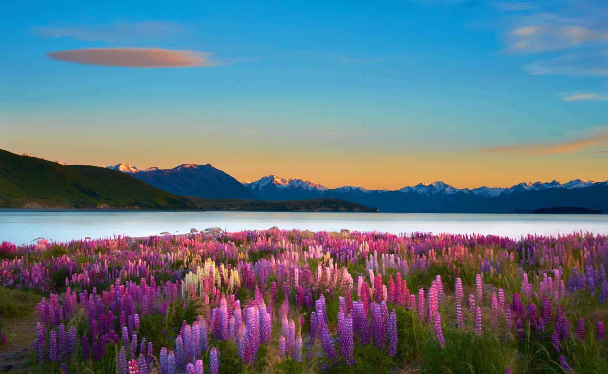 Lake Views At Antler Lodge Lake Tekapo Exteriér fotografie