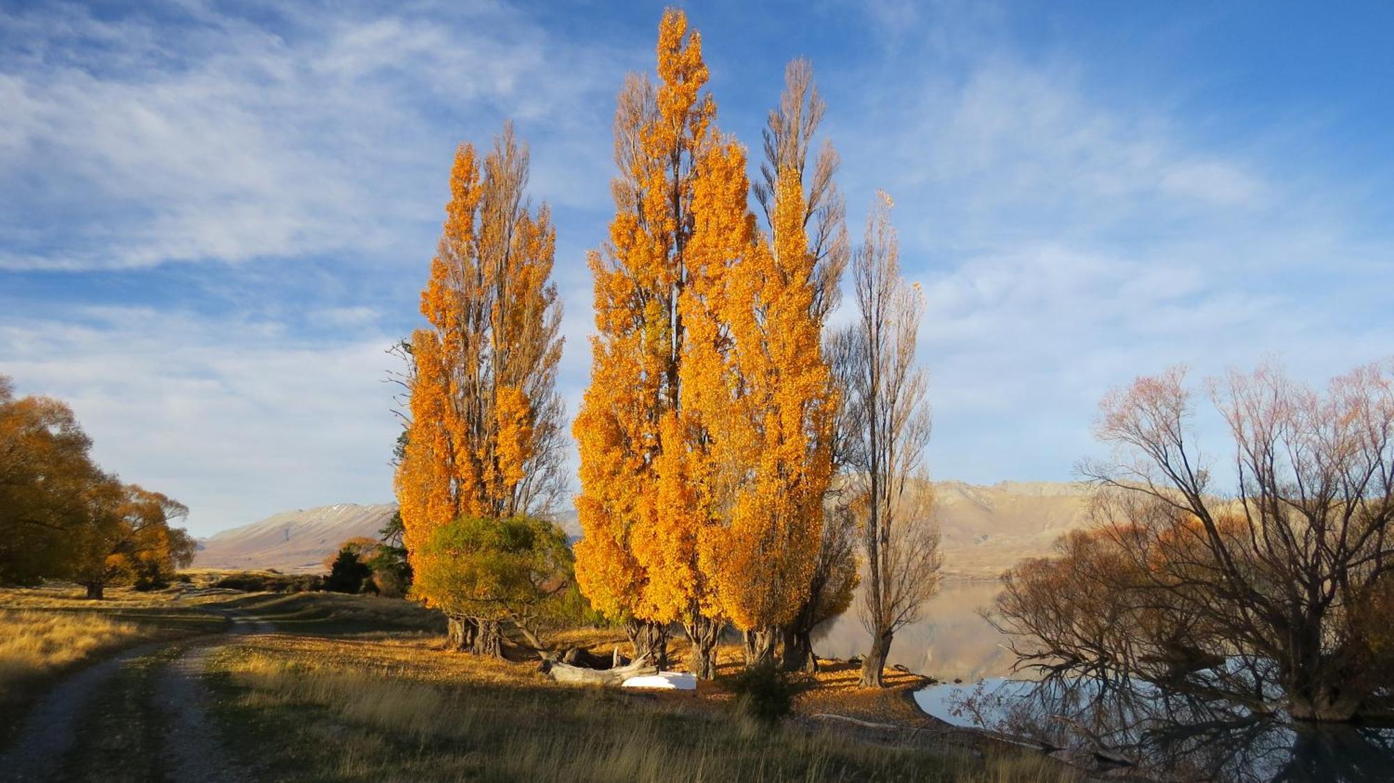 Lake Views At Antler Lodge Lake Tekapo Exteriér fotografie